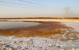 کاهش غیرقانونی مساحت تالاب فلاحیه (شادگان)، به نفع توسعه صنایع نفت و فولاد